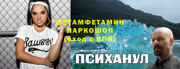 стаф Гусь-Хрустальный