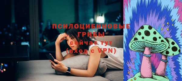 а пвп мука Ельня