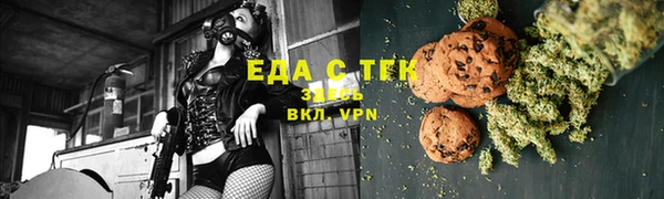 индика Гусиноозёрск