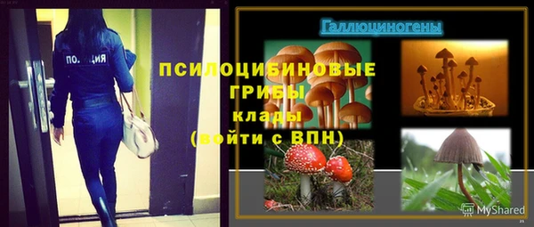 тгк Елабуга