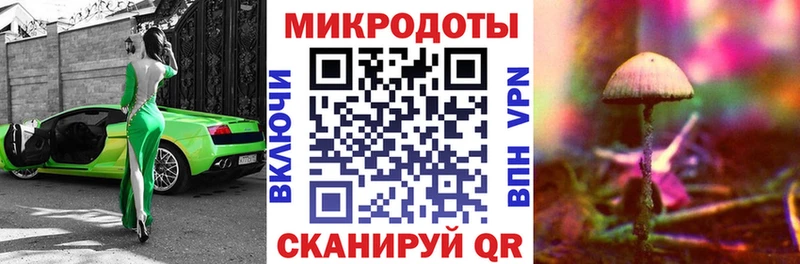 Купить закладки  Киржач  Псилоцибиновые грибы прущие грибы 